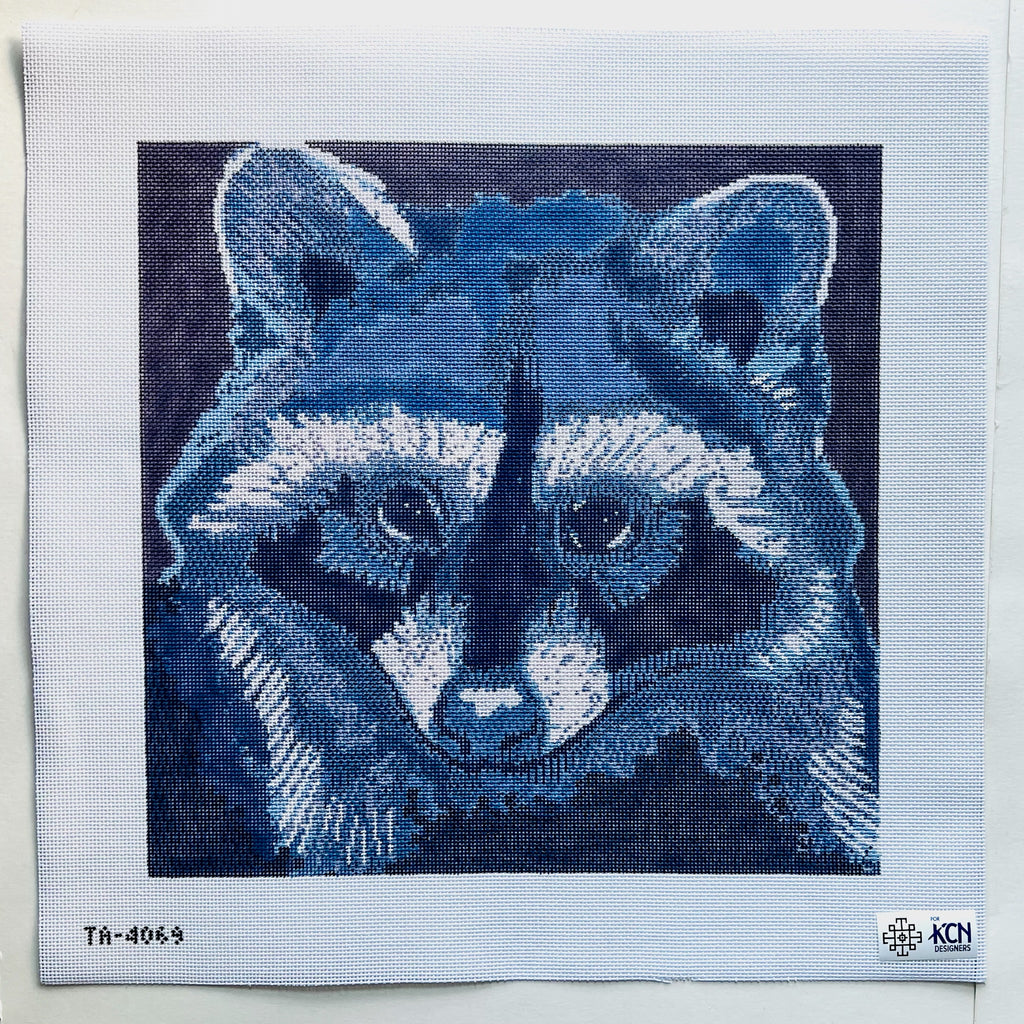 Raccoon Canvas