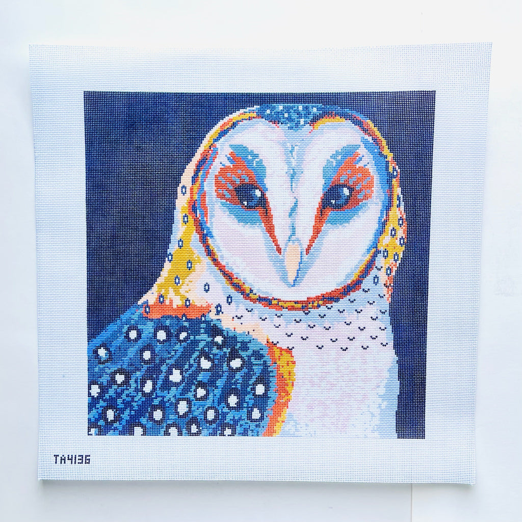Barn Owl Canvas