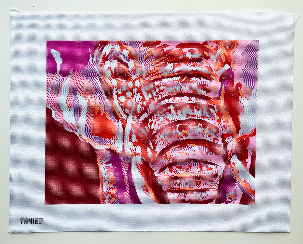 Pink Elephant Canvas