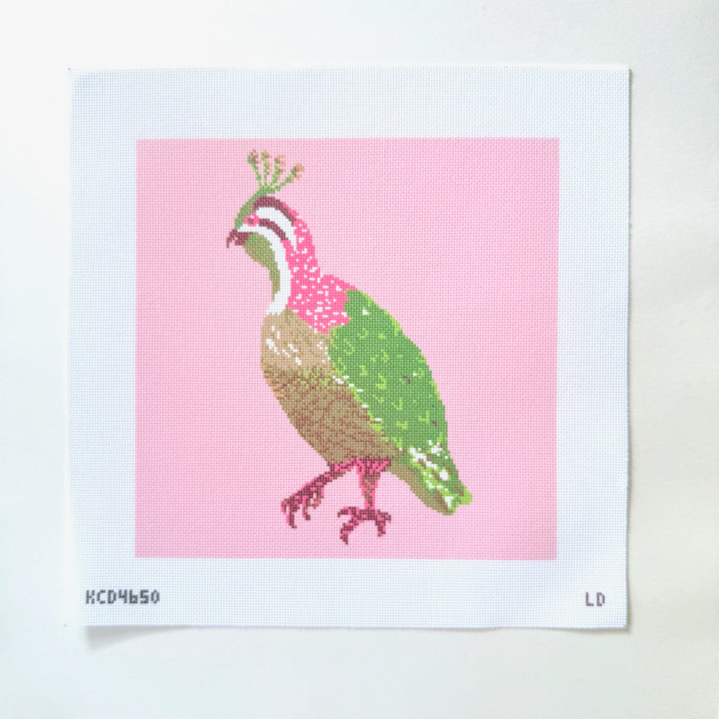 Pink Quail Printed Canvas