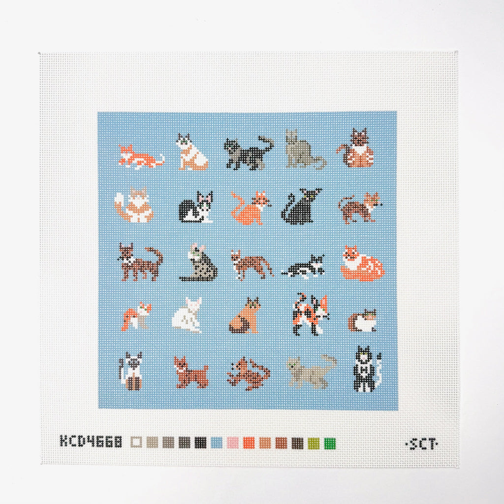 Blue Cat Square Printed Canvas