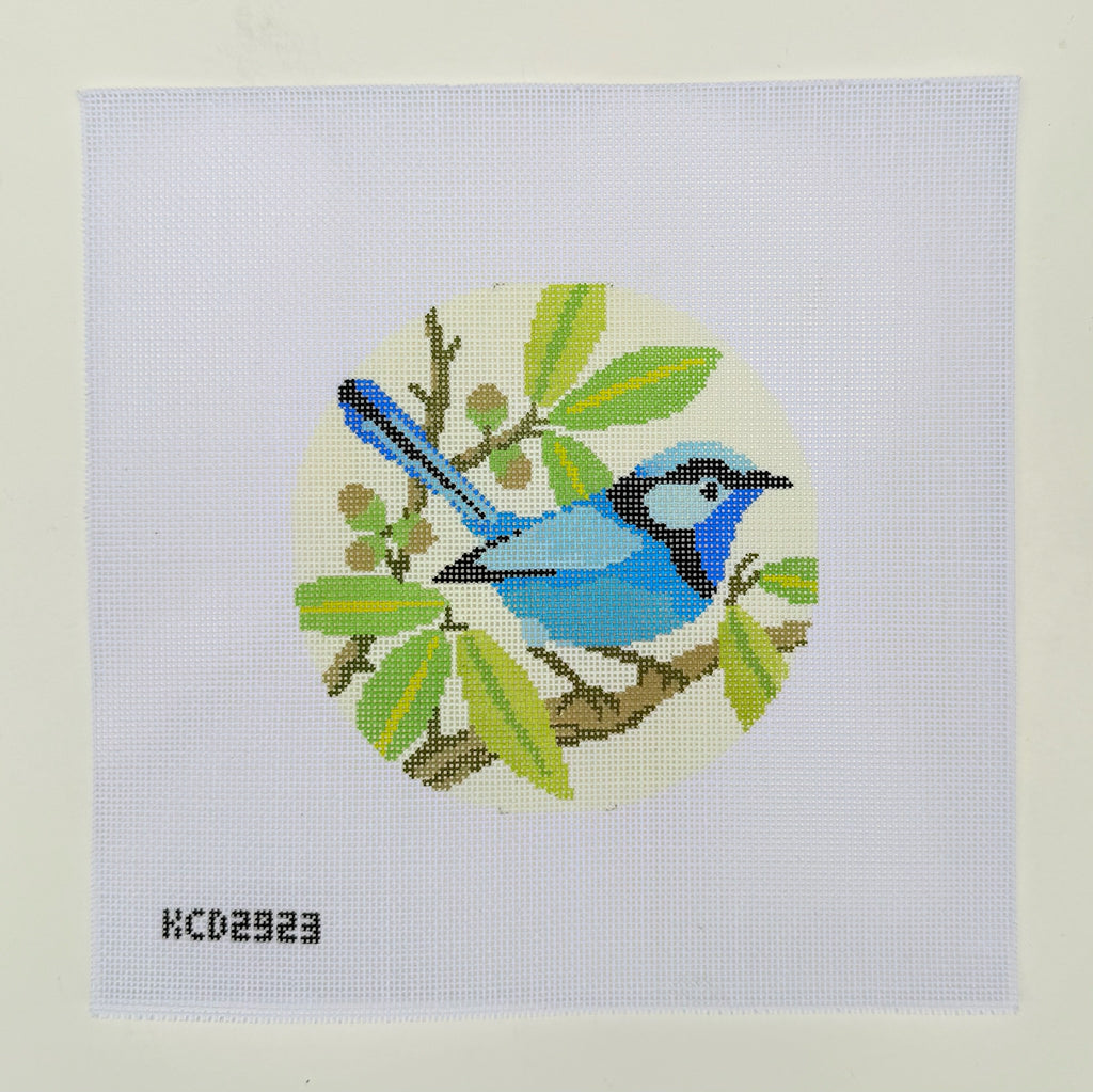 Splendid Fairy Wren